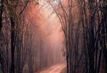 ⚽️澳超战报:皮尔曼攻破联赛最佳防线,珀斯光荣1-0奥克兰FC拿下主场首胜.