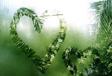 林书豪晒合照感谢姚明:他为亚洲球员闯出一条路九派新闻.