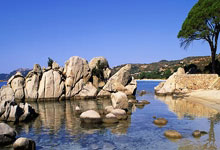 鲸鱼体育:王楚钦夺亚洲杯金牌,赛后:让五星红旗升起永远是我最自豪的事情九派新闻.